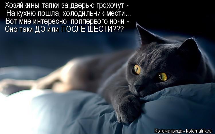   - 3  2016  14:28