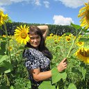  ,  -  13  2016   2016