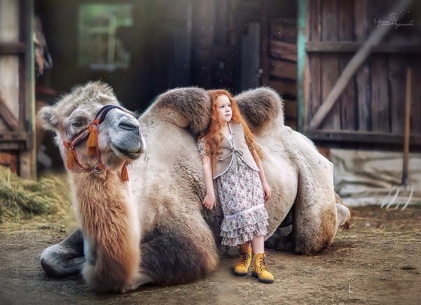    .#fineArt@https://fotostrana.ru/away?to=/sl/XE2 - 3