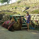  Aleksa , , 45  -  6  2016    