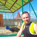 ���� �����, ���������, 43 ���� - ��������� 19 ���� 2016 � ������ �� ����� ��