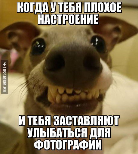 �����? ��, �� �������! - 12 ����� 2016 � 03:22