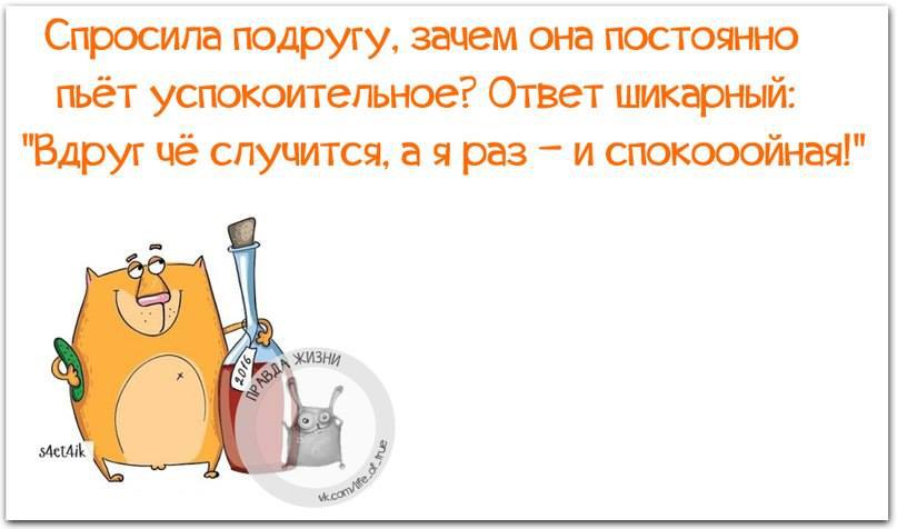  - 10  2016  19:49