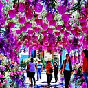  ,  -  15  2016    13 һ