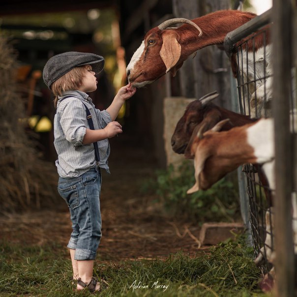     Adrian C. Murray - 4