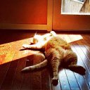 ���� ��������, ������������ - ��������� 23 ����� 2016 � ������ ���� ����������