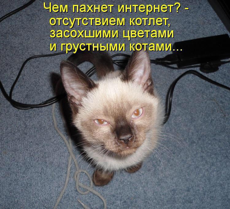      - 24  2016  22:11