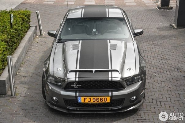 Shelby GT500