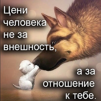    - 24  2016  21:51