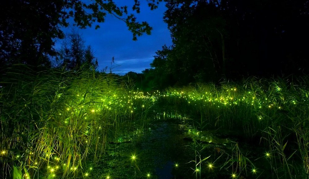  ! - 12  2016  23:24 - 6