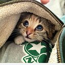 ���� ����, ������, 42 ���� - ��������� 22 ��� 2016 � ������ ������ ��������