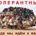  , -, 56  -  13  2016    