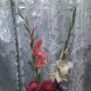 ���� ������, �����, 55 ��� - ��������� 2 ������� 2016 � ������ ���� ����������