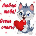 ���� ����, ����-���, 46 ��� - ��������� 4 ��� 2016 � ������ ������ ��������