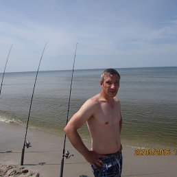 ���� �����, �����������, 46 ��� - ��������� 29 ������� 2016