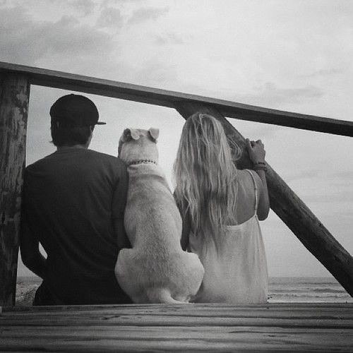    ... -   ,..  - ...