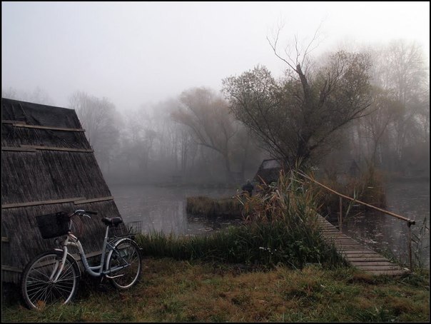  Gabor Dvornik - 2