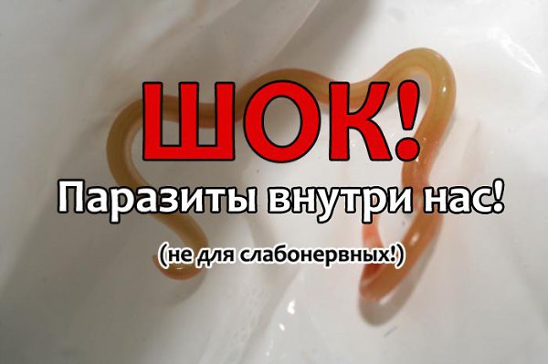 Недавно я у своей 3-х летней дочери обнаружила глисты-острицы. После обнаружения мы немедленно ...