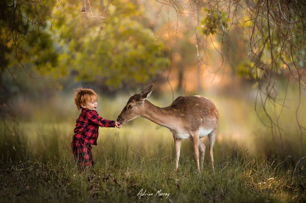     Adrian C. Murray - 8