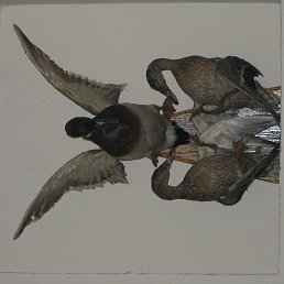 , -, 57 