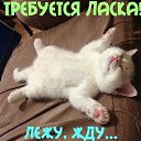 ���� ��������, ����, 50 ��� - ��������� 26 ���� 2016 � ������ ���� ����������