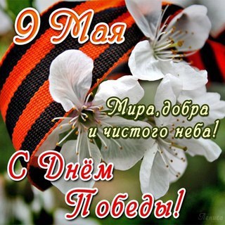       .,            ...