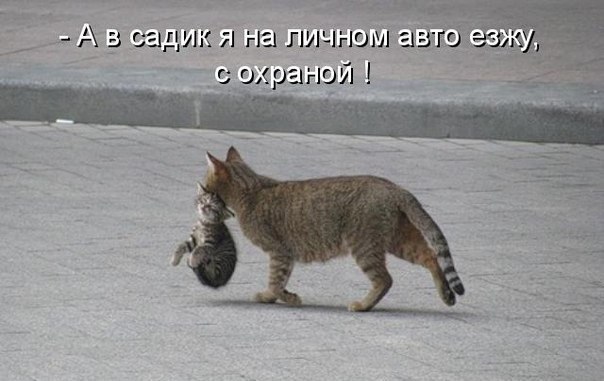 -  - 1  2016  14:22
