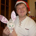 ���� ������, �����������, 53 ���� - ��������� 29 ���� 2016 � ������ ���� ����������