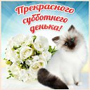   ***,  -  3  2016