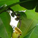 ���� ������, �������, 54 ���� - ��������� 5 ���� 2016 � ������ �������