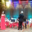      SVS Nevro .. . . 31.05.2016 .      31.05.2016 .