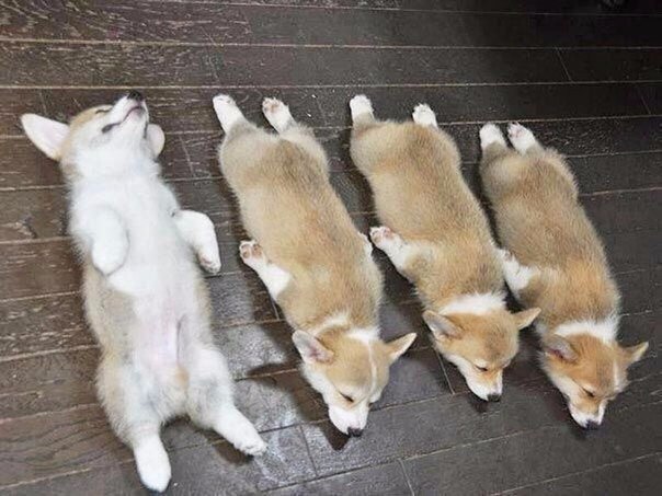      - 3