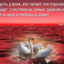 ���� ����� �����, ������ - ��������� 15 ������ 2016 � ������ ������ ��������