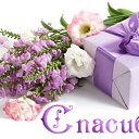 ���� ������, ������ ��������, 63 ���� - ��������� 1 ���� 2016 � ������ �������� ��������