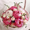 ���� �����, �����-���������, 61 ��� - ��������� 5 ��� 2016 � ������ ���� ����������