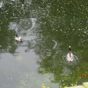 ������)) �� ������� ���� ����������