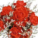 ���� �����, ������� - ��������� 27 ������� 2016 � ������ ���� ����������
