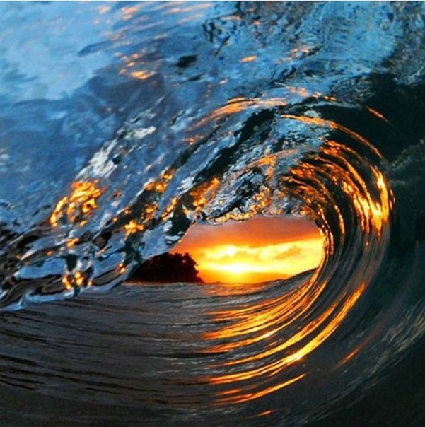    .     (Clark Little)  ... - 6