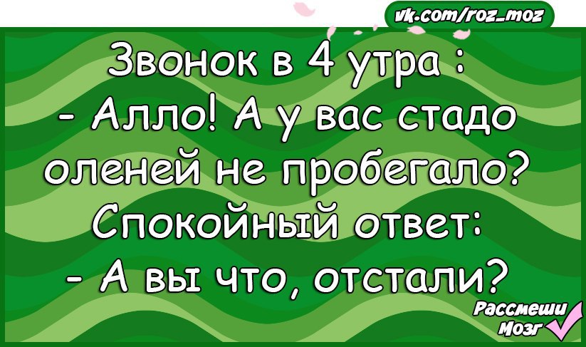  - 5  2016  10:31