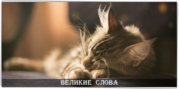    ,       ..  