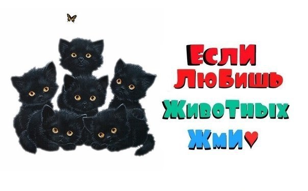  -  - 14  2016  18:27