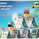  , , 51  -  18  2016    -