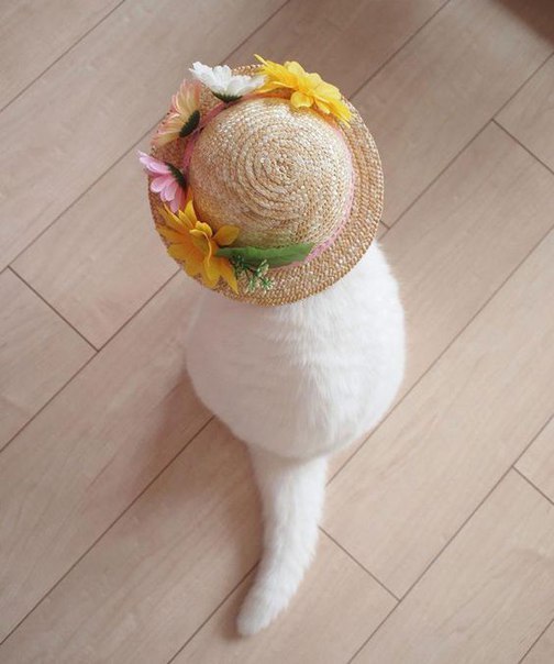   !