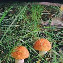 ���� �����, ������������, 59 ��� - ��������� 16 ���� 2016 � ������ ������ �����.�