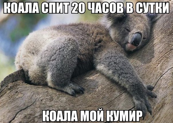   - 13  2016  15:37