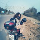 ���� �����, ������, 38 ��� - ��������� 17 ����� 2016 � ������ �2015/2016�