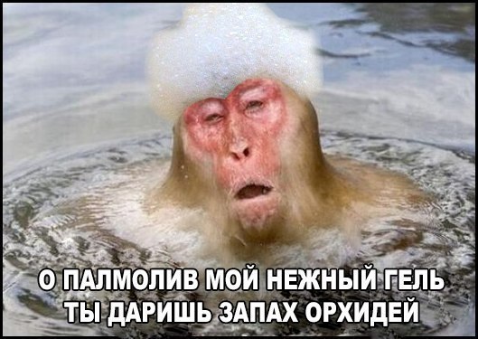    :D - 30  2016  04:05