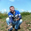 �������� ��������� ������ 2016 �. ...... �� ������� ���� �������