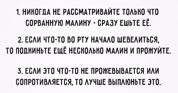 Три правила клуба поедателей малины прямо с куста