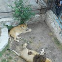���� �����, �����������, 51 ��� - ��������� 20 ���� 2016 � ������ ���� ����������